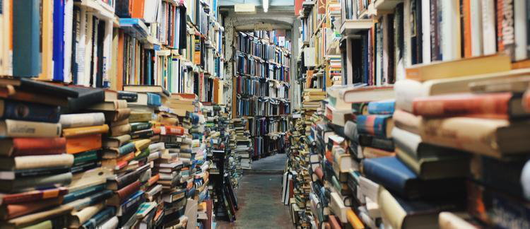 A New Breed of Open Access Publisher